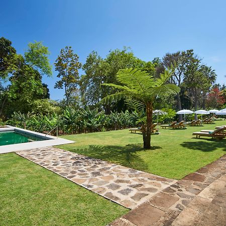 Hotel Quinta Da Casa Branca Funchal  Exterior foto