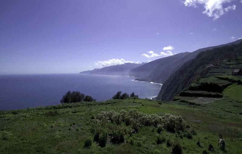 Hotel Quinta Da Casa Branca Funchal  Einrichtungen foto